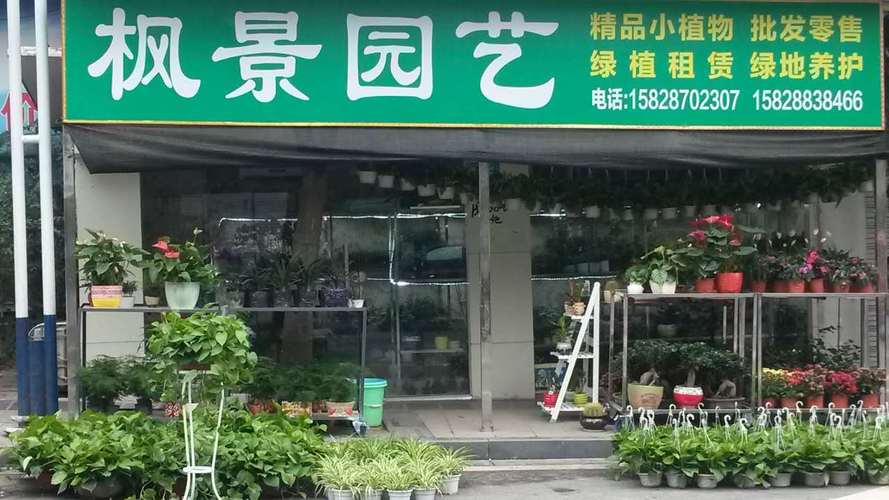 盆栽店名